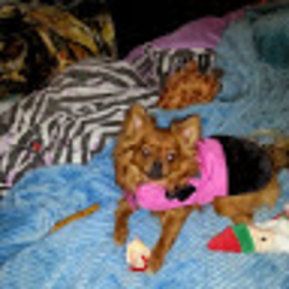 Meet your Posher, Lynn - Picture 1 of 1